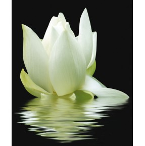 Панно City White Lilies